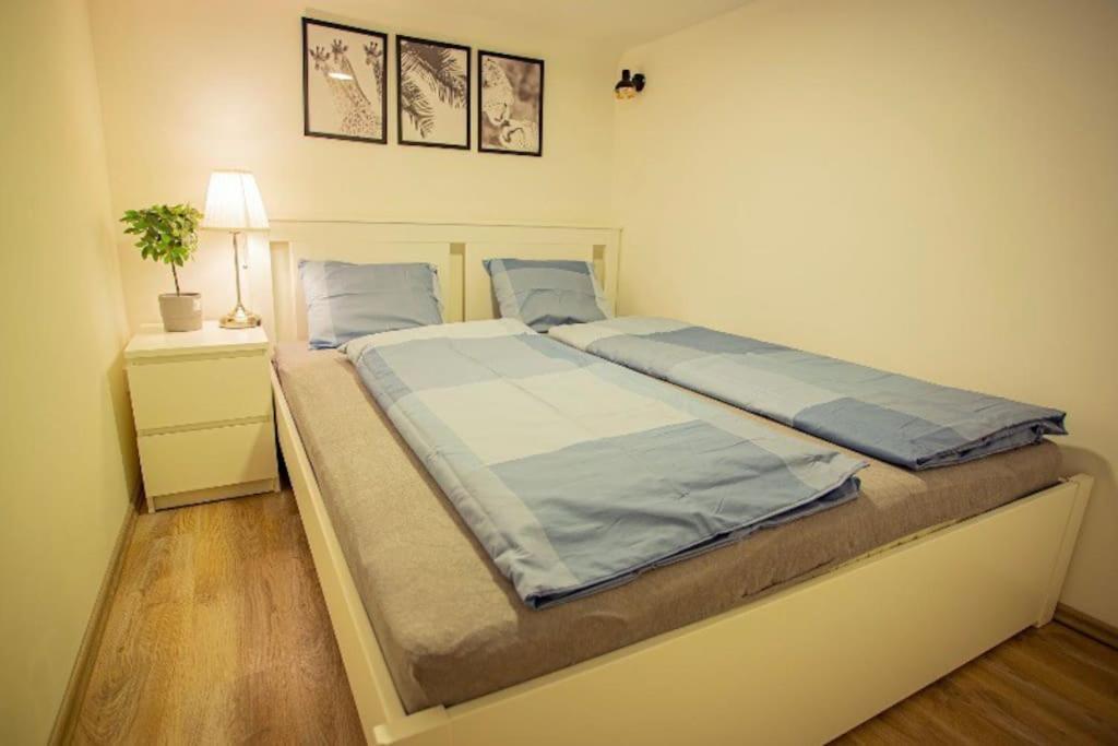 Cosy 2 Bedroom Flat In Akacfa St., Sol Budapeşte Dış mekan fotoğraf