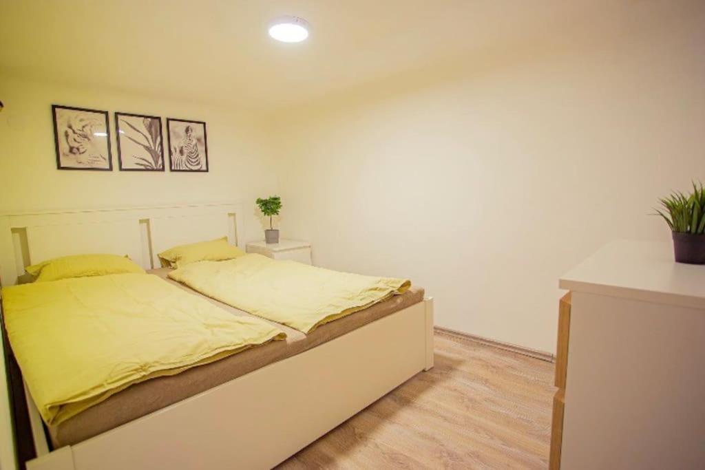 Cosy 2 Bedroom Flat In Akacfa St., Sol Budapeşte Dış mekan fotoğraf